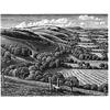 South Downs, Fulking Escarpment by Howard Phipps