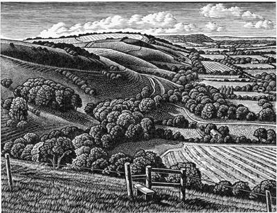 South Downs, Fulking Escarpment by Howard Phipps