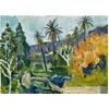 Botanical Garden, Soller - Morning by Paul Finn