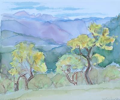 Almond Trees, Aragon by Isobel Johnstone