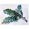 Paintings by Sarah Harding