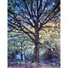Oak Tree By A Stream by Sarah Harding