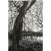 Exe By Trews Weir by Sally Loughridge