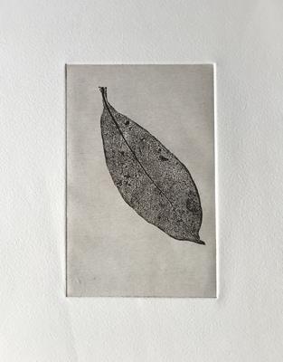 Leaf Print III by Sally Loughridge