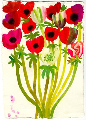 Anemones by Christopher Corr