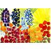 Garden Flowers by Christopher Corr