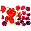 Red Tulips by Christopher Corr