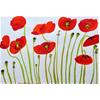 Poppies by Christopher Corr