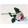 Shropshire Lad by Sarah Harding
