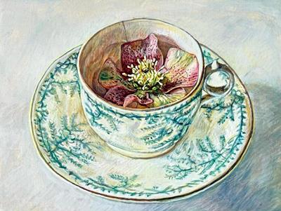 Hellebore Flower In My Grandmother's China Cup by Sarah Harding