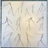 Bacchanale, Twelve Twigs by Chris Kenny